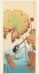 Lavandera y loto, c.1915